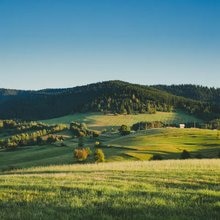 slovak
